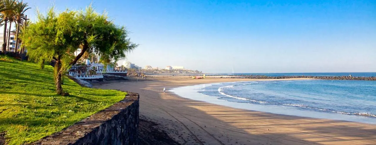 319 Modern Accommodation,Sea View, Wi Fi And Pool Playa de las Américas Daire